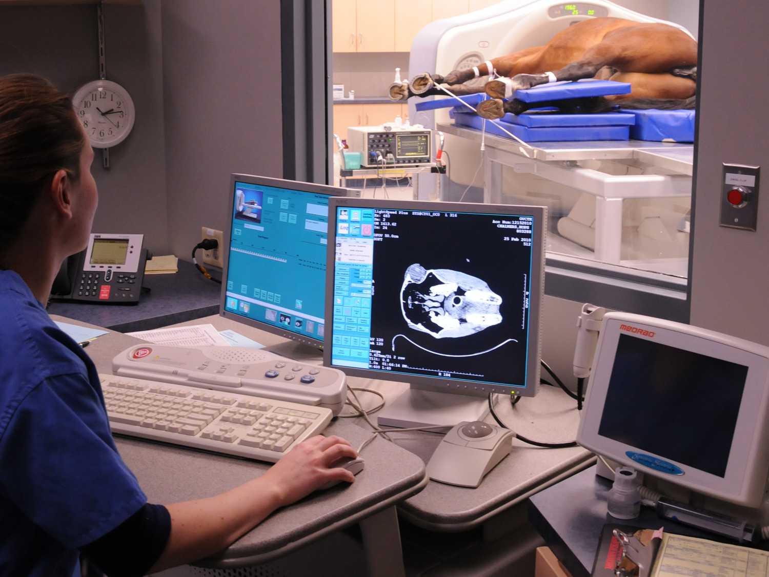 Horse undergoing a CT scan with a Vet in the foreground analyzing imagery on a computer