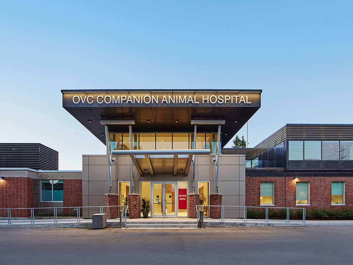 Artistic image of the front of the OVC Companion Animal Hospital